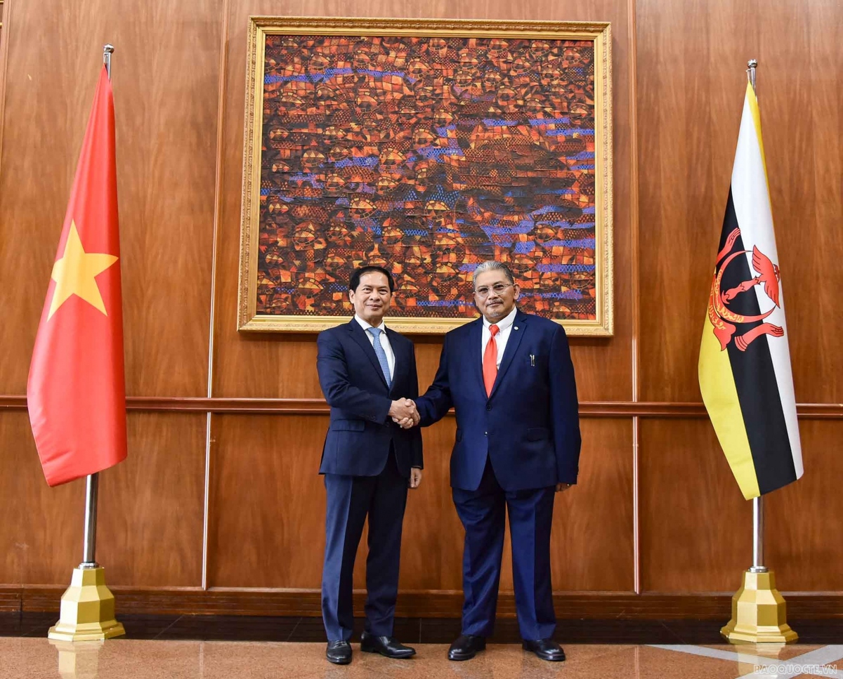 Vietnam, Brunei boost comprehensive partnership